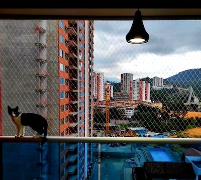 Mallaseguras, lo en mallas de para ventanas y balcones, estamos en Bucaramanga, empresa líder en el suministro de mallas para protección de niños y mascotas, mallas de seguridad Bucaramanga